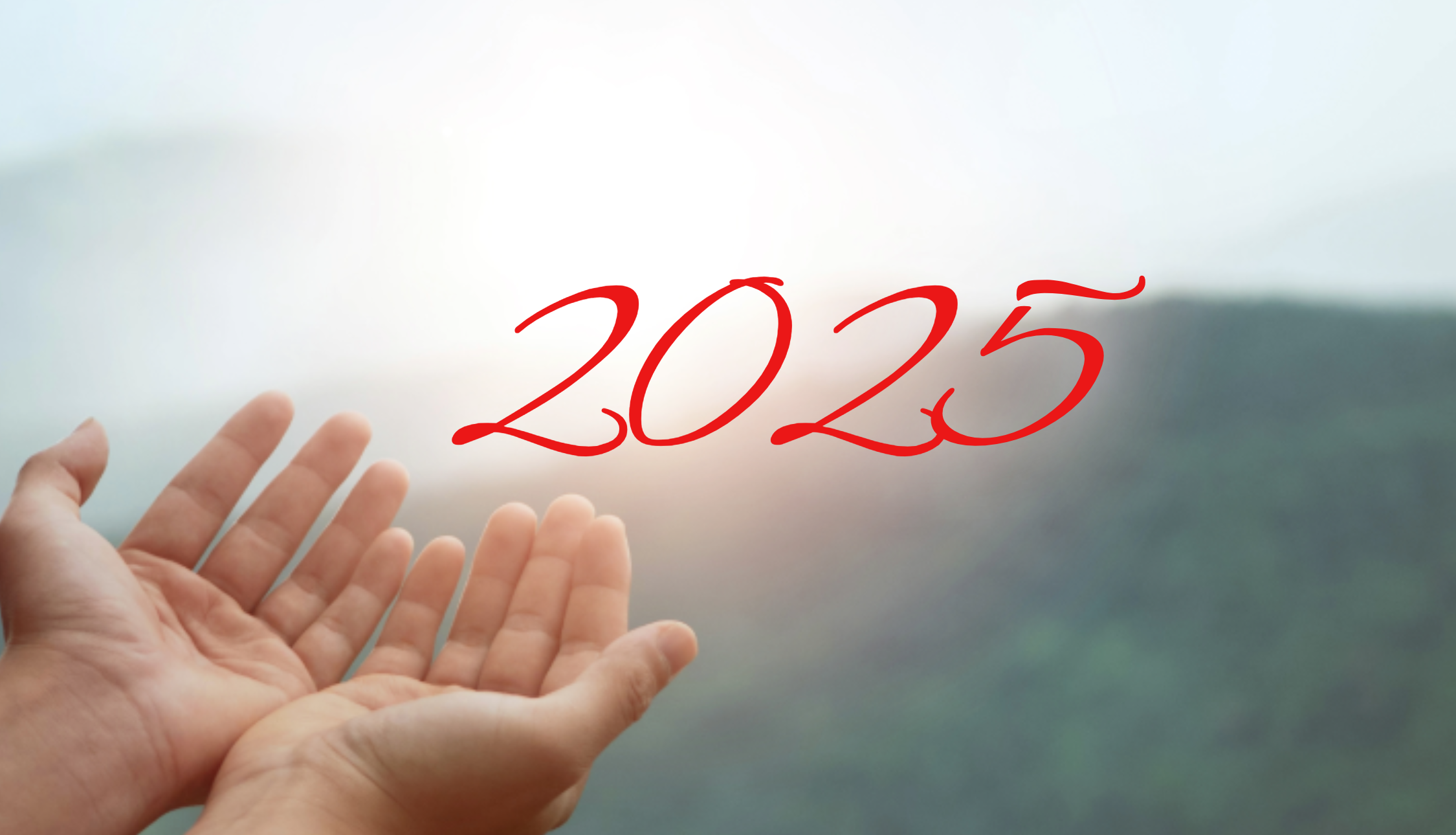 Meilleurs voeux 2025