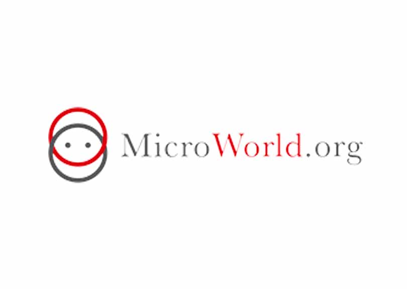 Micro World